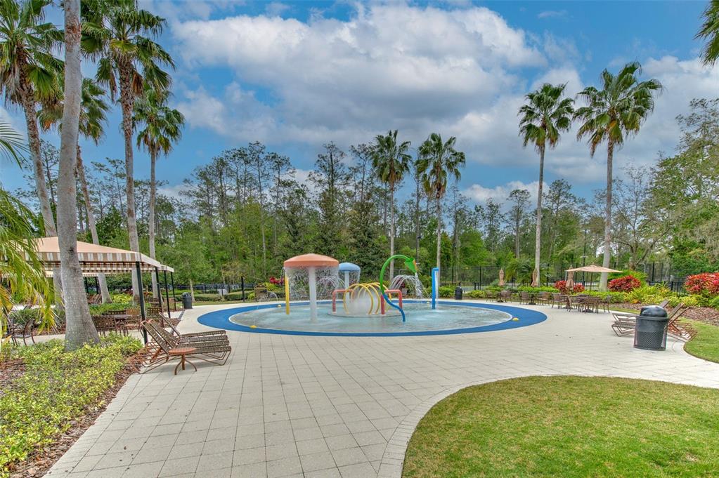 27601 Baybrook Loop Wesley Chapel, FL 33544 - Photo 26 of 34