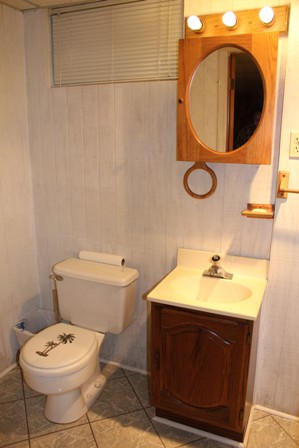 1731 Rutrough Road Southeast Roanoke, VA 24014 - Photo 25 of 34 a bathroom with a sink mirror vanity and toilet