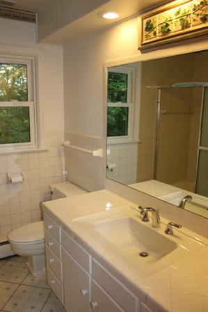 1731 Rutrough Road Southeast Roanoke, VA 24014 - Photo 9 of 34 a bathroom with a sink and a toilet