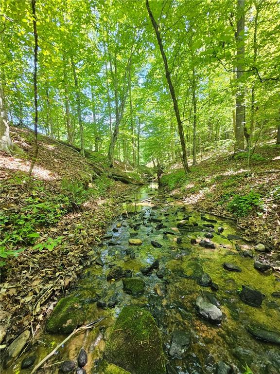 0 Ridgedale Road Six Mile, SC 29682 - Photo 2 of 5 A tranquil stream meanders through a verdant, wooded landscape, offering natural serenity.