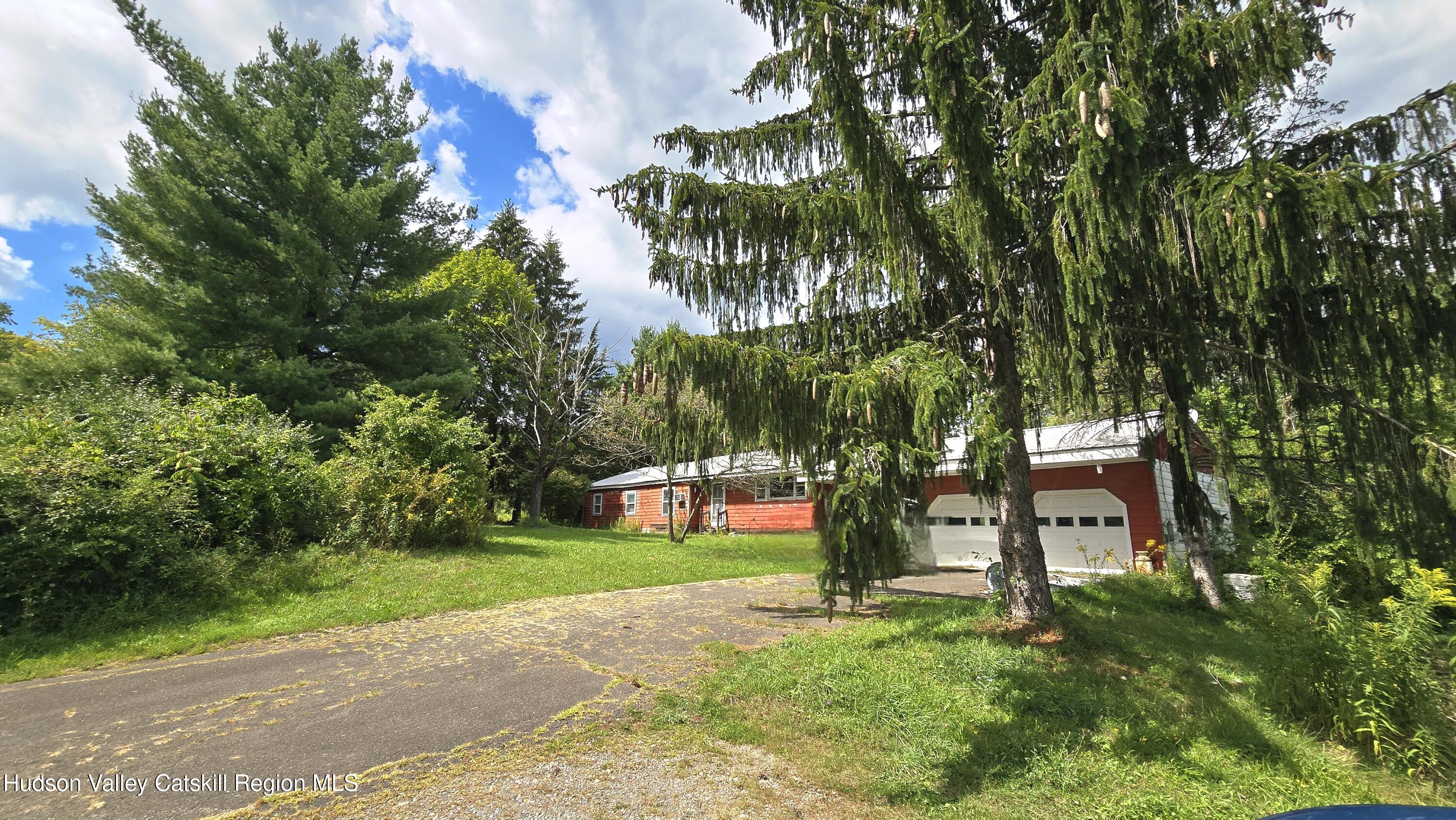 a view of a park with large trees