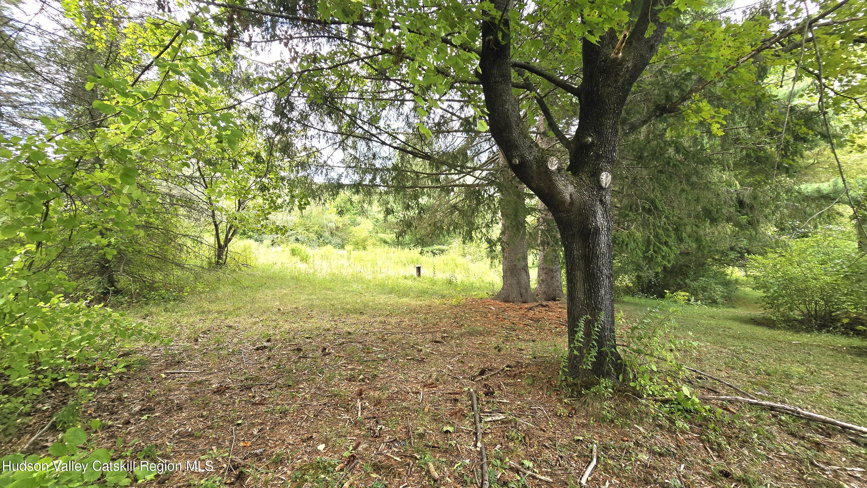 767 Rock City Road Chatham, NY 12136 - Photo 3 of 22 a view of a yard with a tree