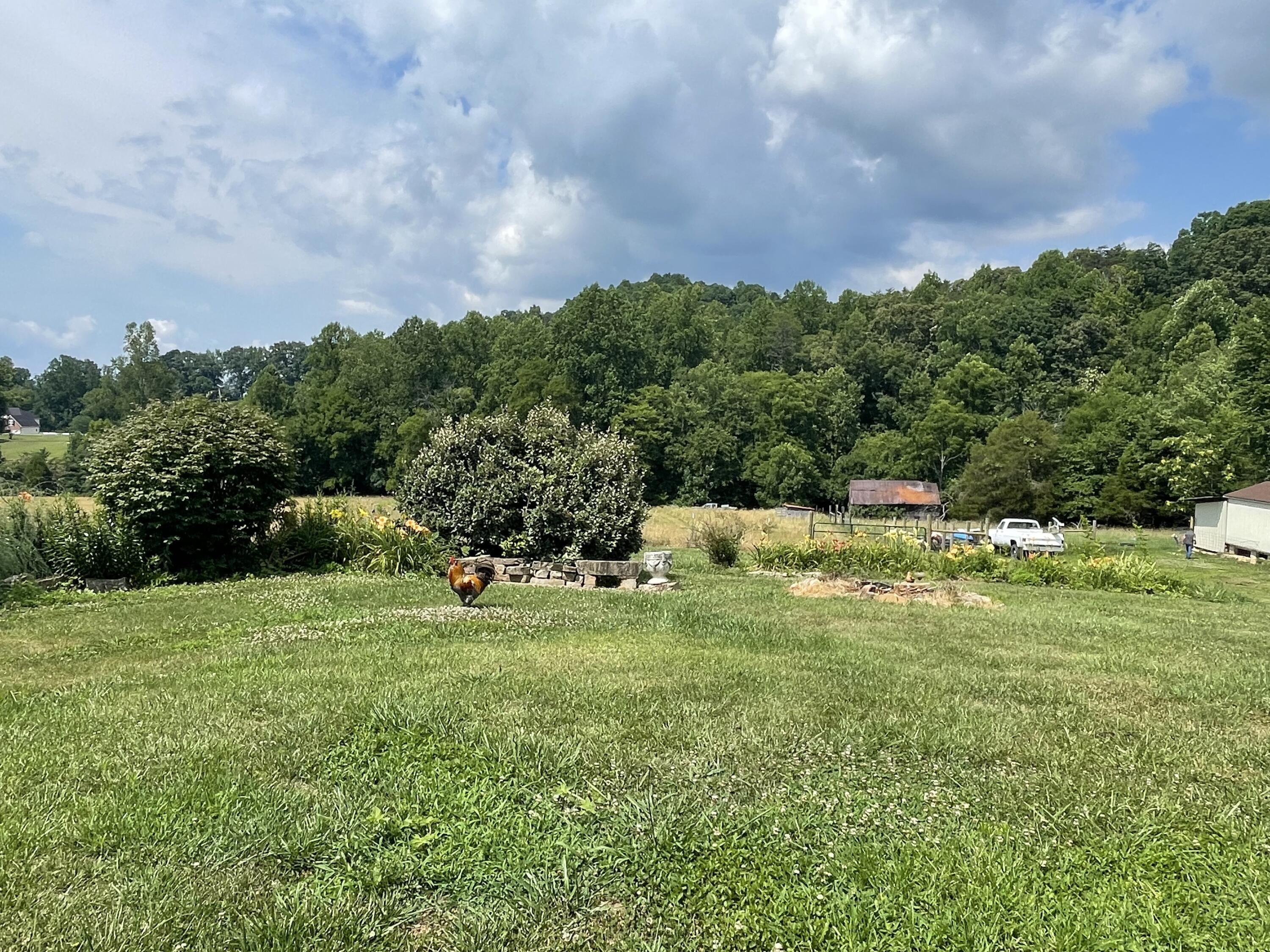 430 Harve Lewis Road Pikeville, TN 37367 - Photo 34 of 54 4E112FAE-5FCB-4221-91A9-BC1168C1BEF0