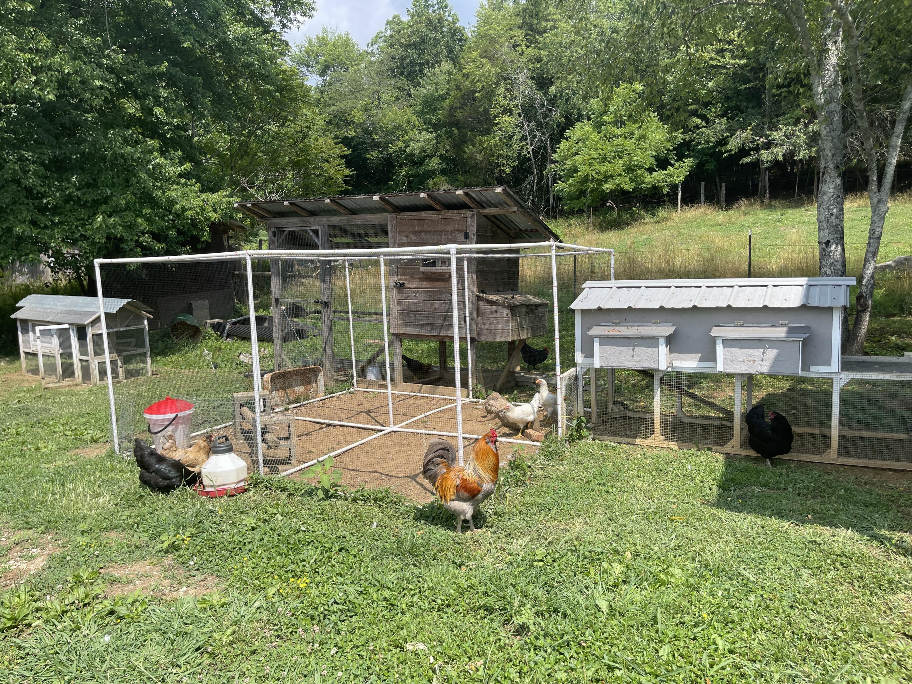 430 Harve Lewis Road Pikeville, TN 37367 - Photo 42 of 54 08B25989-54D4-4AE9-8A16-9239C5E49D69
