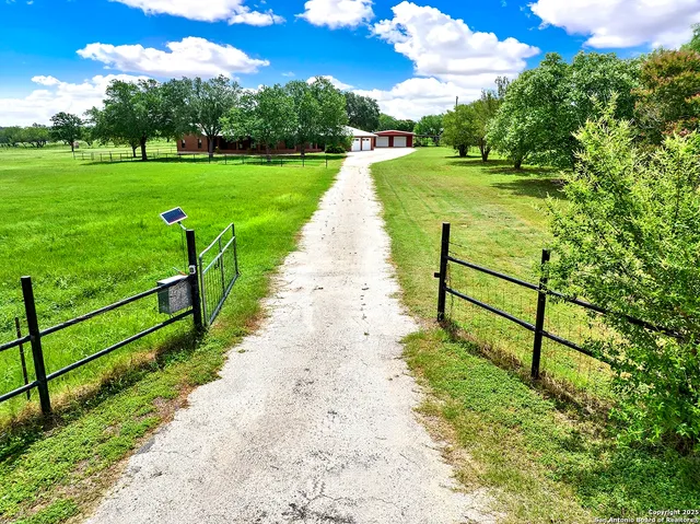 a view of a park with large trees