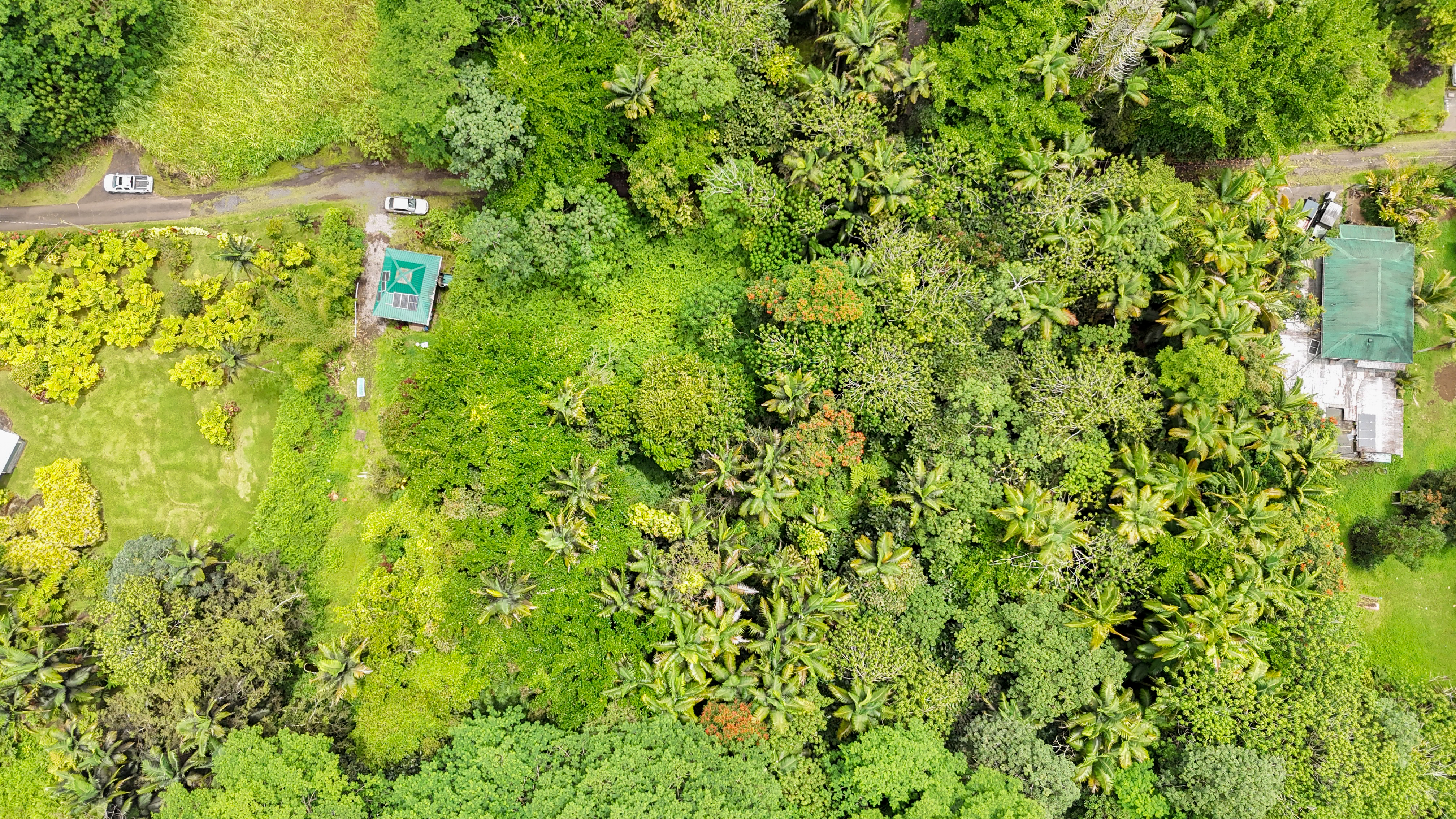 47 Japanese Camp Road Pahoa, HI 96778 - Photo 2 of 6