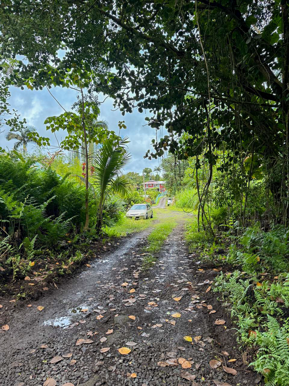 47 Japanese Camp Road Pahoa, HI 96778 - Photo 5 of 6