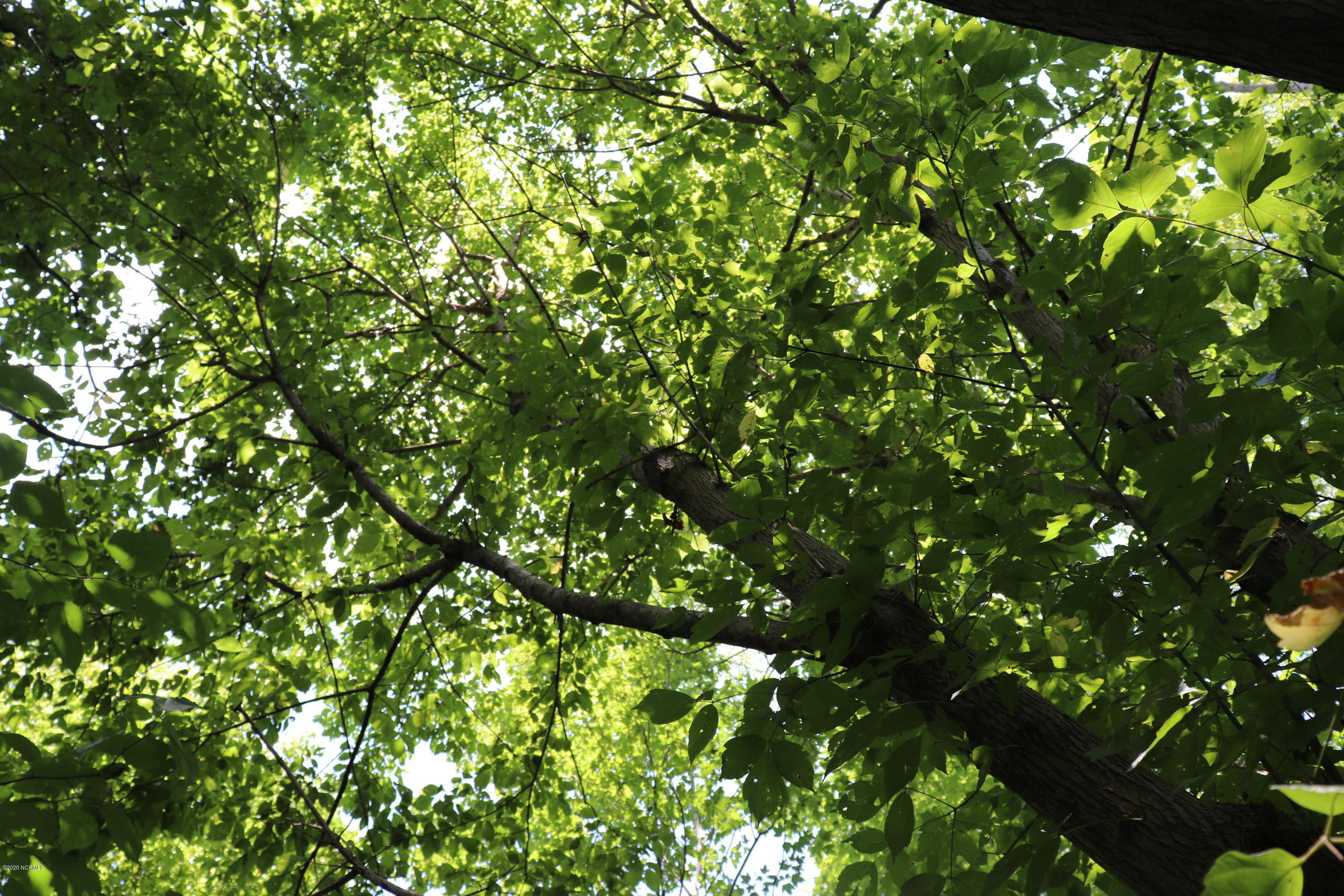 0 River Road Wade, NC 28395 - Photo 10 of 10 29