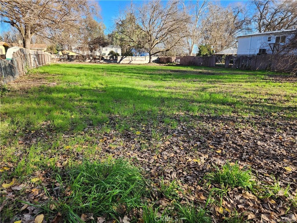 a view of a park with large trees