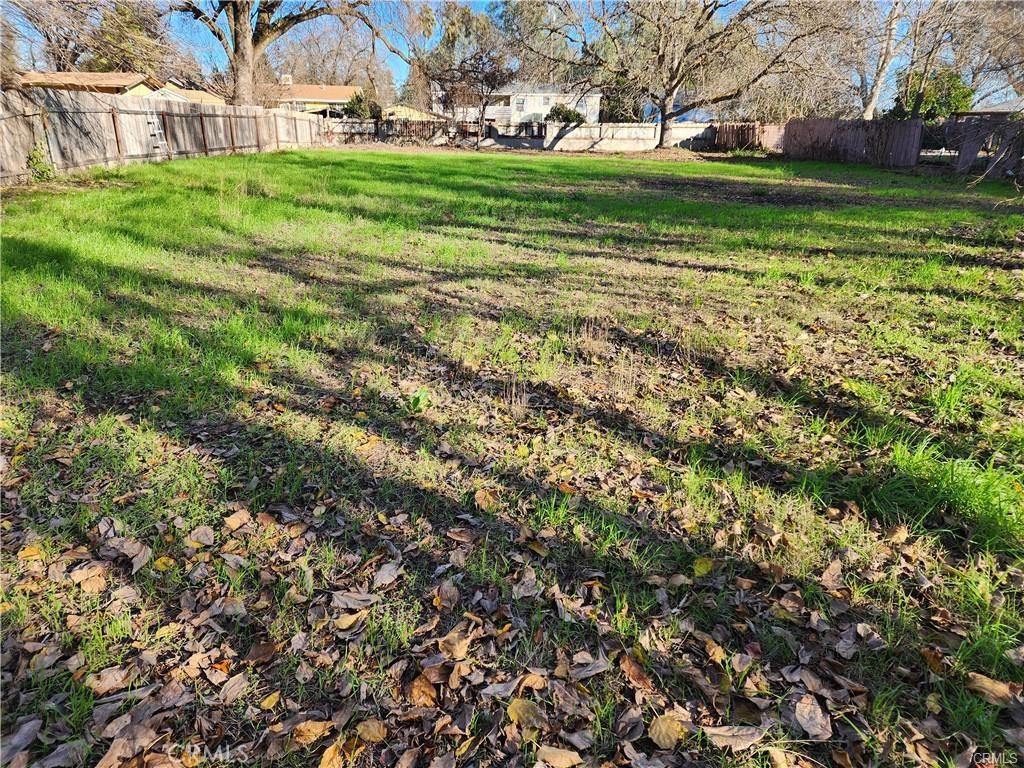 751 5th Street Gerber, CA 96035 - Photo 2 of 2 a view of yard with outdoor space and trees