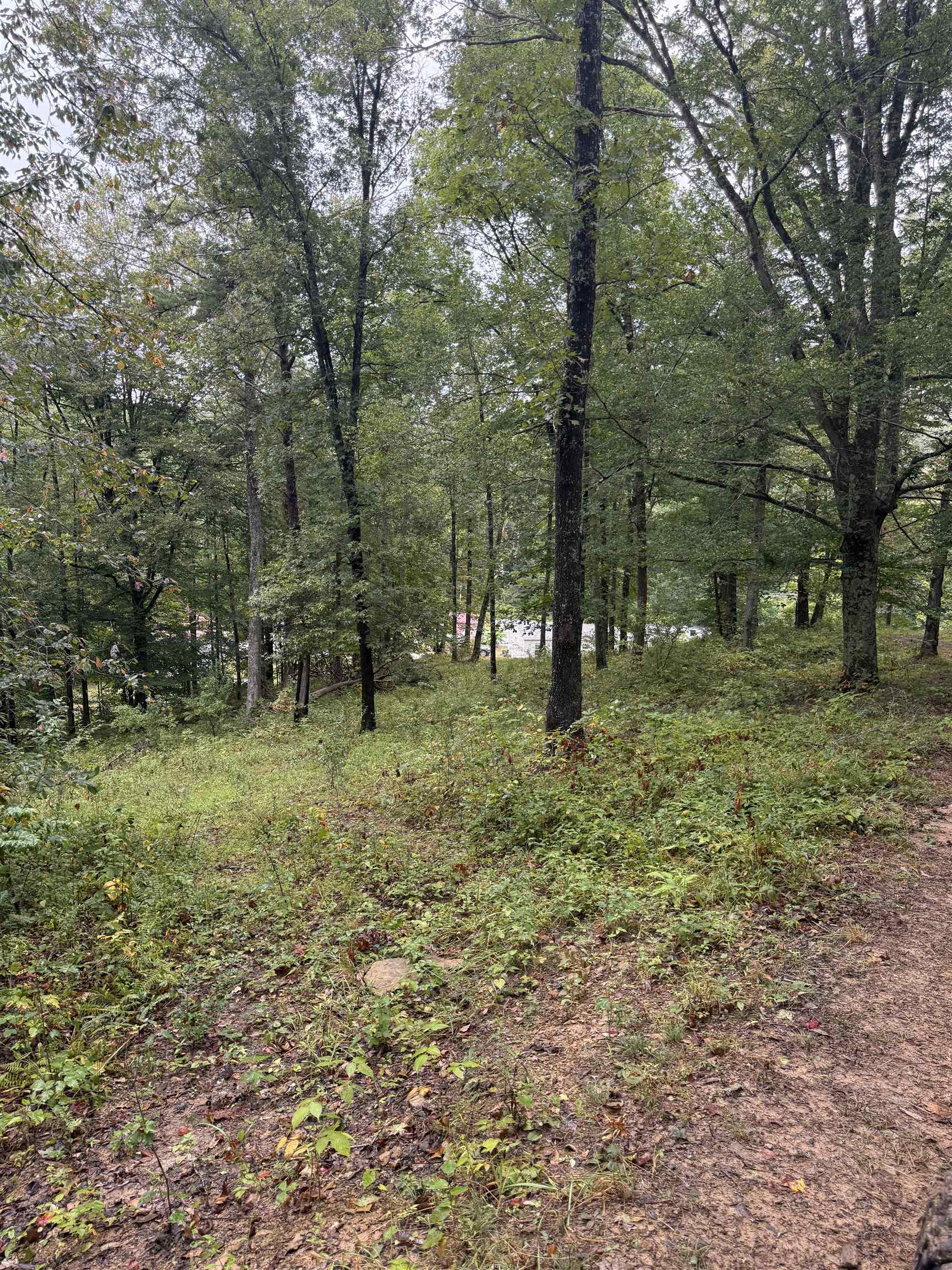 15709 Trace Road Rush, KY 41168 - Photo 3 of 29