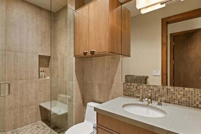 a bathroom with a sink toilet and shower