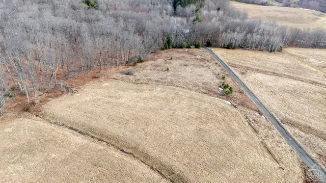 a view of a dry yard with wooden fence