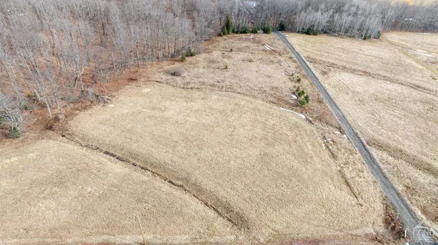 a view of a dry yard with trees