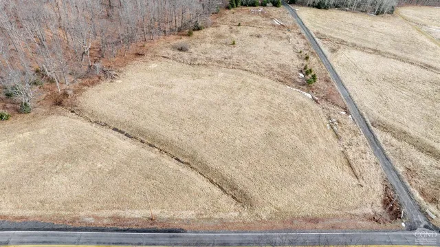 a view of a dry yard with trees