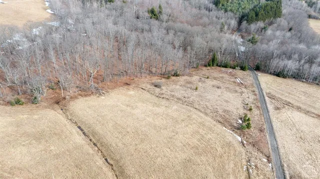 a view of a backyard of the house