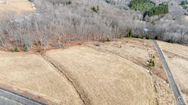a view of backyard and trees