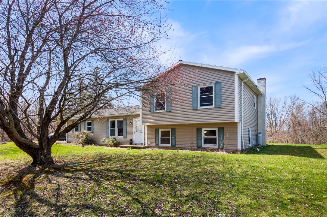 497 Hartnagle Road Arcadia, NY 14513 - Photo 37 of 49 Mature trees that are NOT close to the house - the