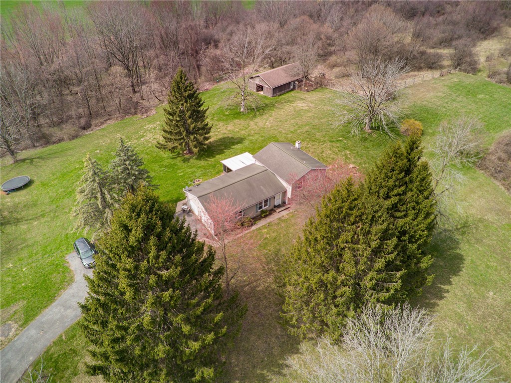497 Hartnagle Road Arcadia, NY 14513 - Photo 4 of 49 The barn sits way back behind the house!