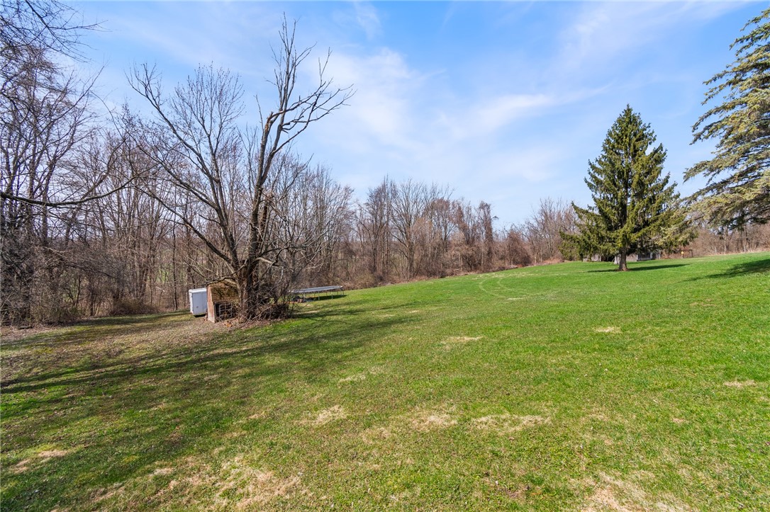 497 Hartnagle Road Arcadia, NY 14513 - Photo 41 of 49 The view of the yard- house sits high! Helps keep