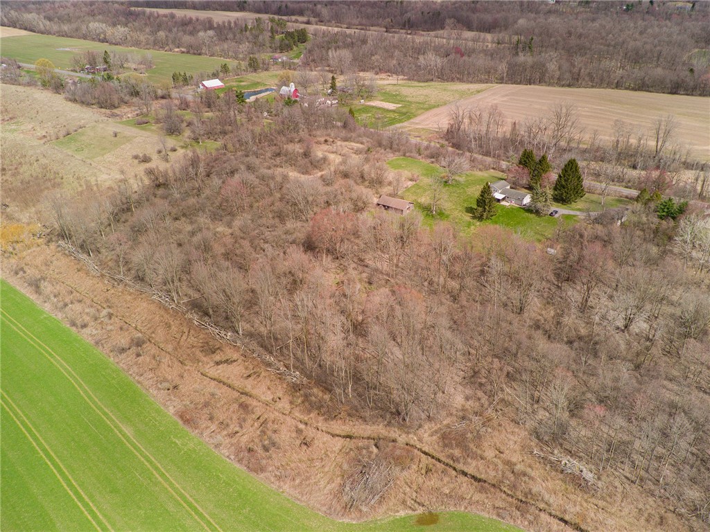 497 Hartnagle Road Arcadia, NY 14513 - Photo 46 of 49 What an SOUL SOOTHING VIEW!!