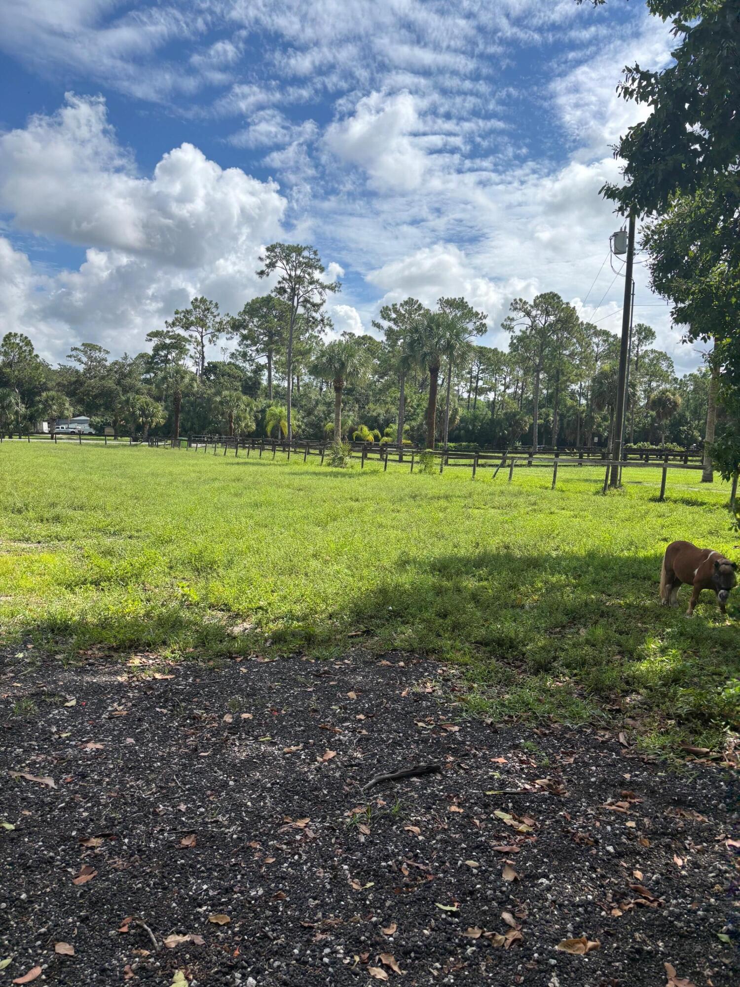 1732 F Road Loxahatchee Groves, FL 33470 - Photo 11 of 11 IMG_2491