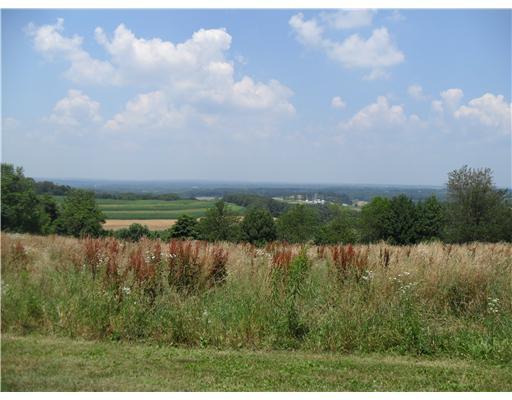Lot4 Reichert Road Portersville, PA 16057 - Photo 1 of 3 Exterior Front. What a view