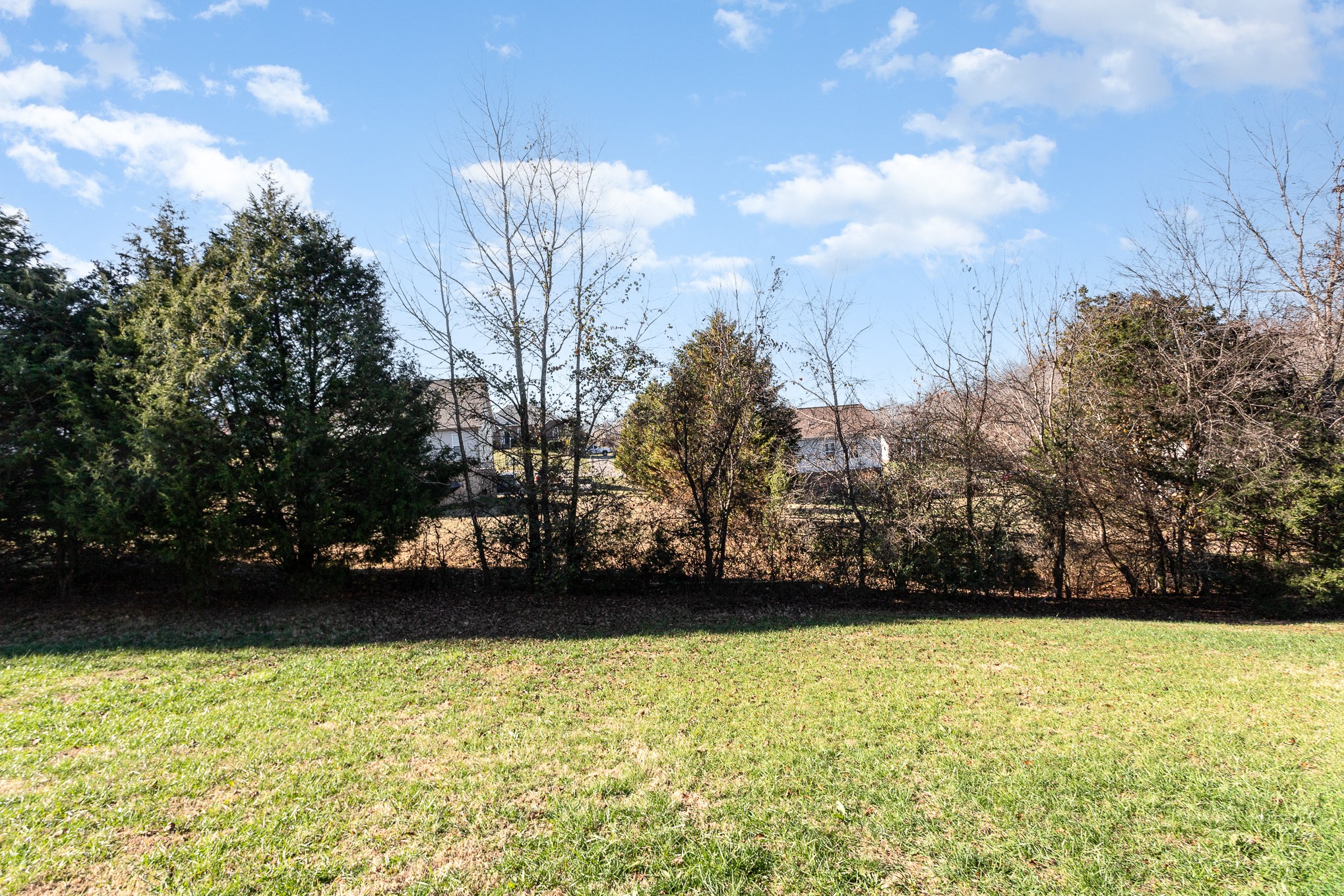 809 Callie Lane Pleasant View, TN 37146 - Photo 29 of 30