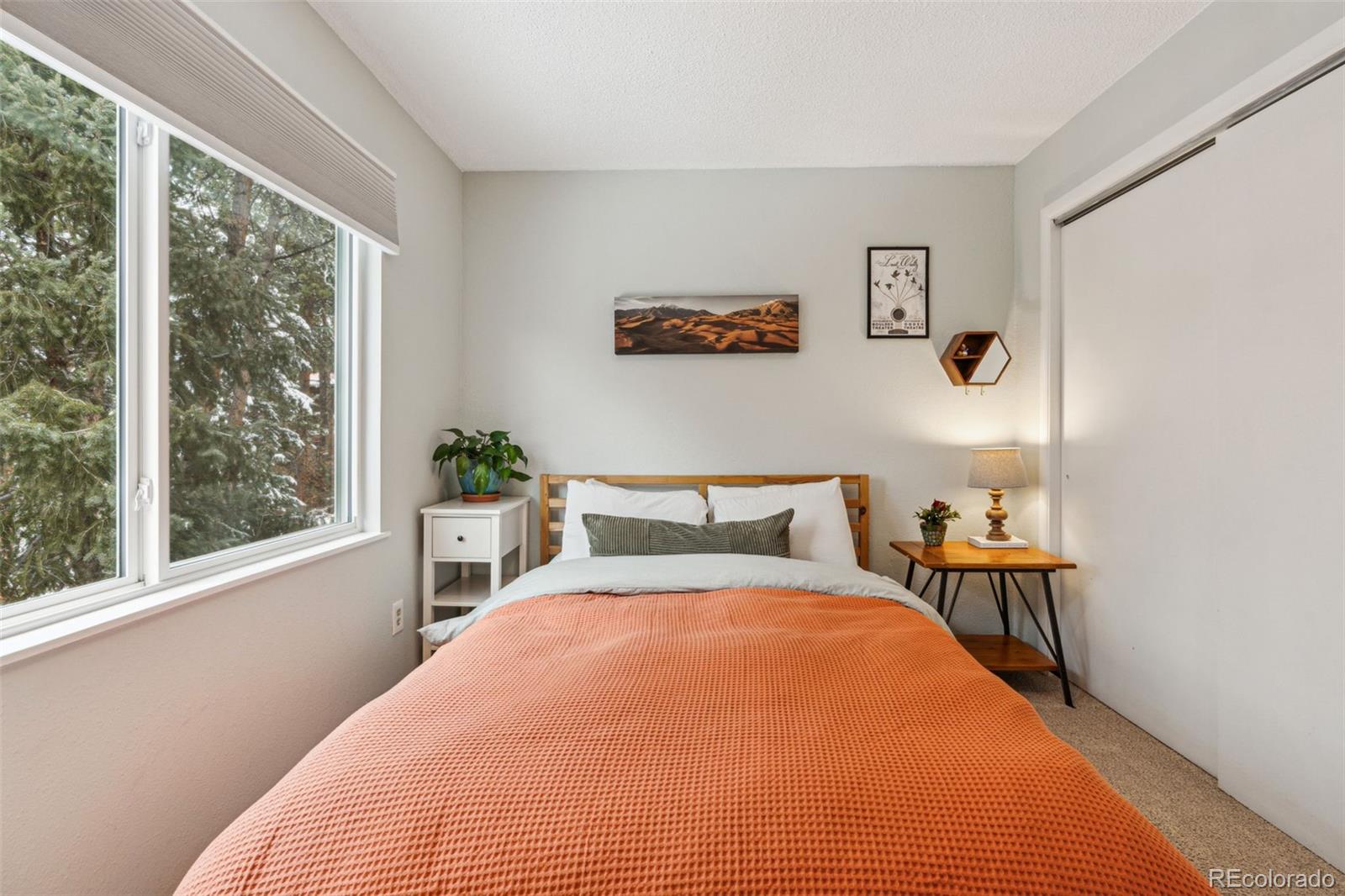 28254 Tresine Drive Evergreen, CO 80439 - Photo 17 of 44 a bedroom with a bed and a window