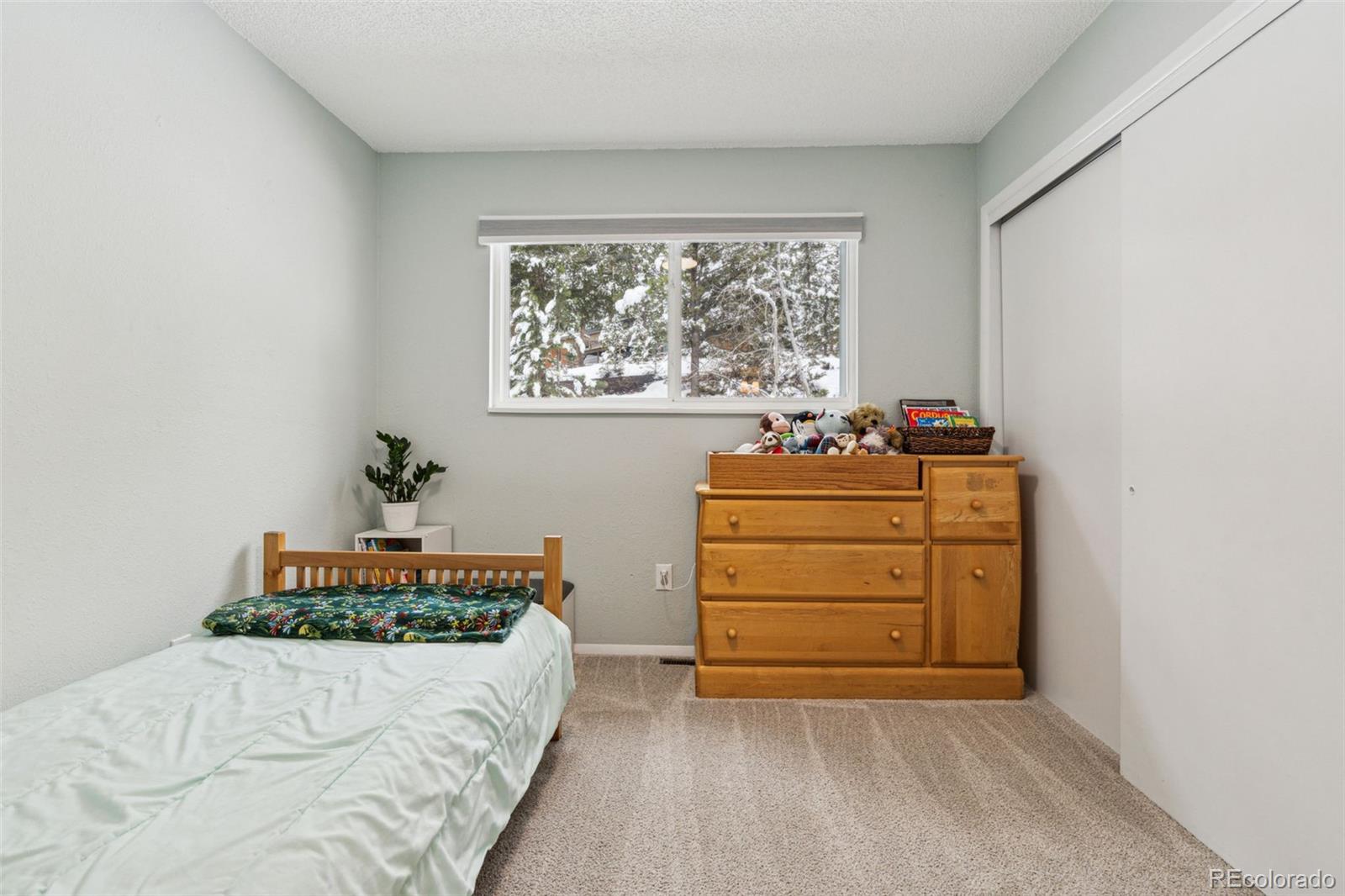 28254 Tresine Drive Evergreen, CO 80439 - Photo 20 of 44 a bed room with a bed and a window