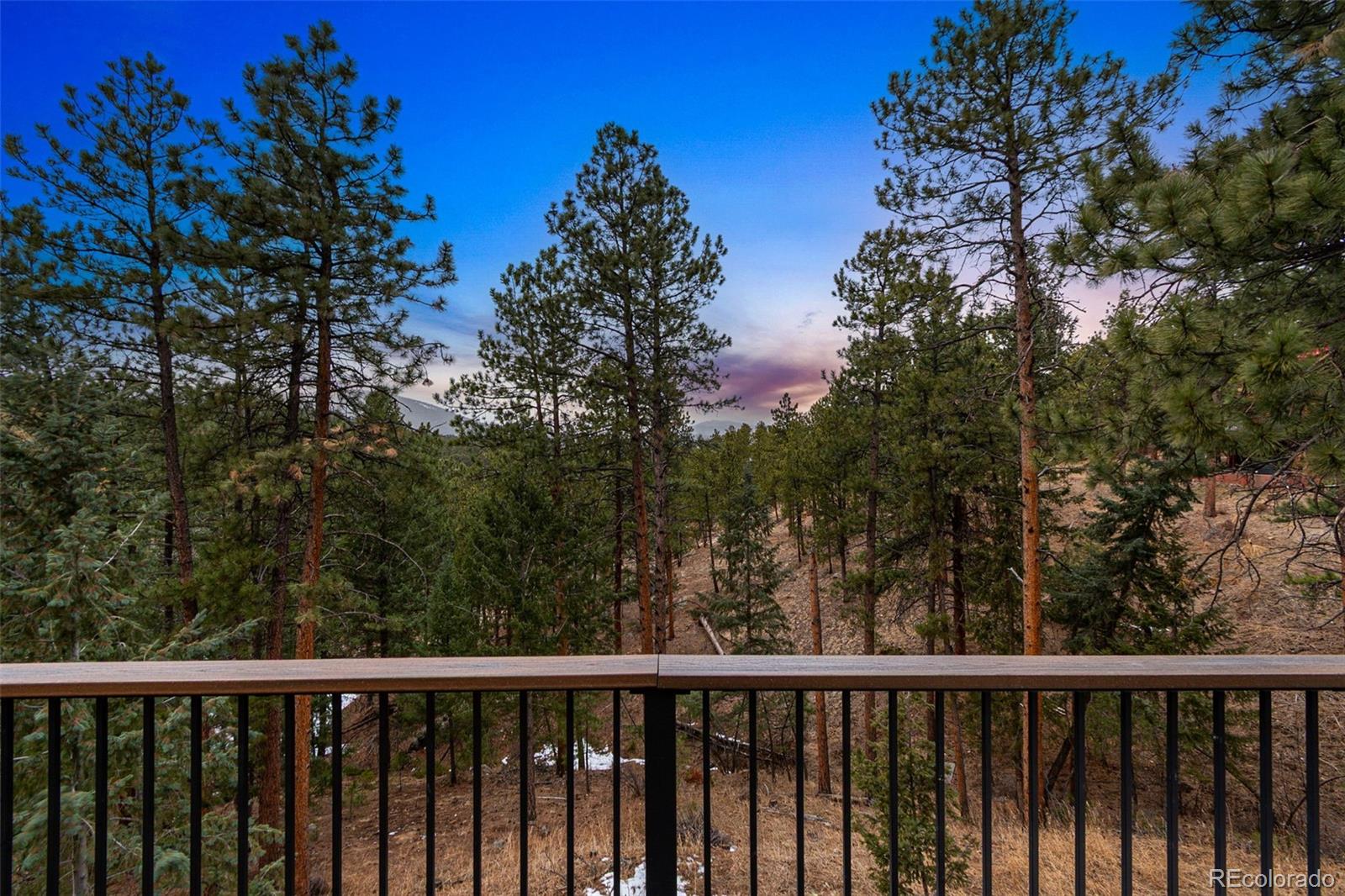 28254 Tresine Drive Evergreen, CO 80439 - Photo 27 of 44 a view of a forest from a balcony
