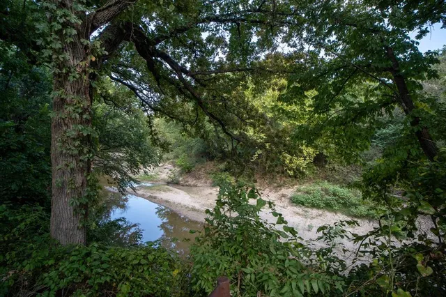 a view of a field with an trees in the background
