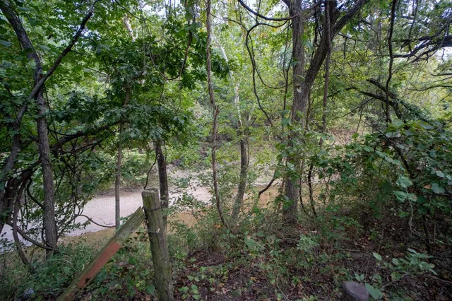 a view of a backyard with wooden fence and large trees