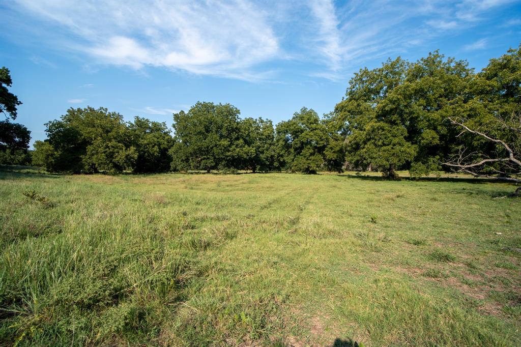 10902 Clear Creek Road West Sanger, TX 76266 - Photo 9 of 40 a view of a field with an trees in the background