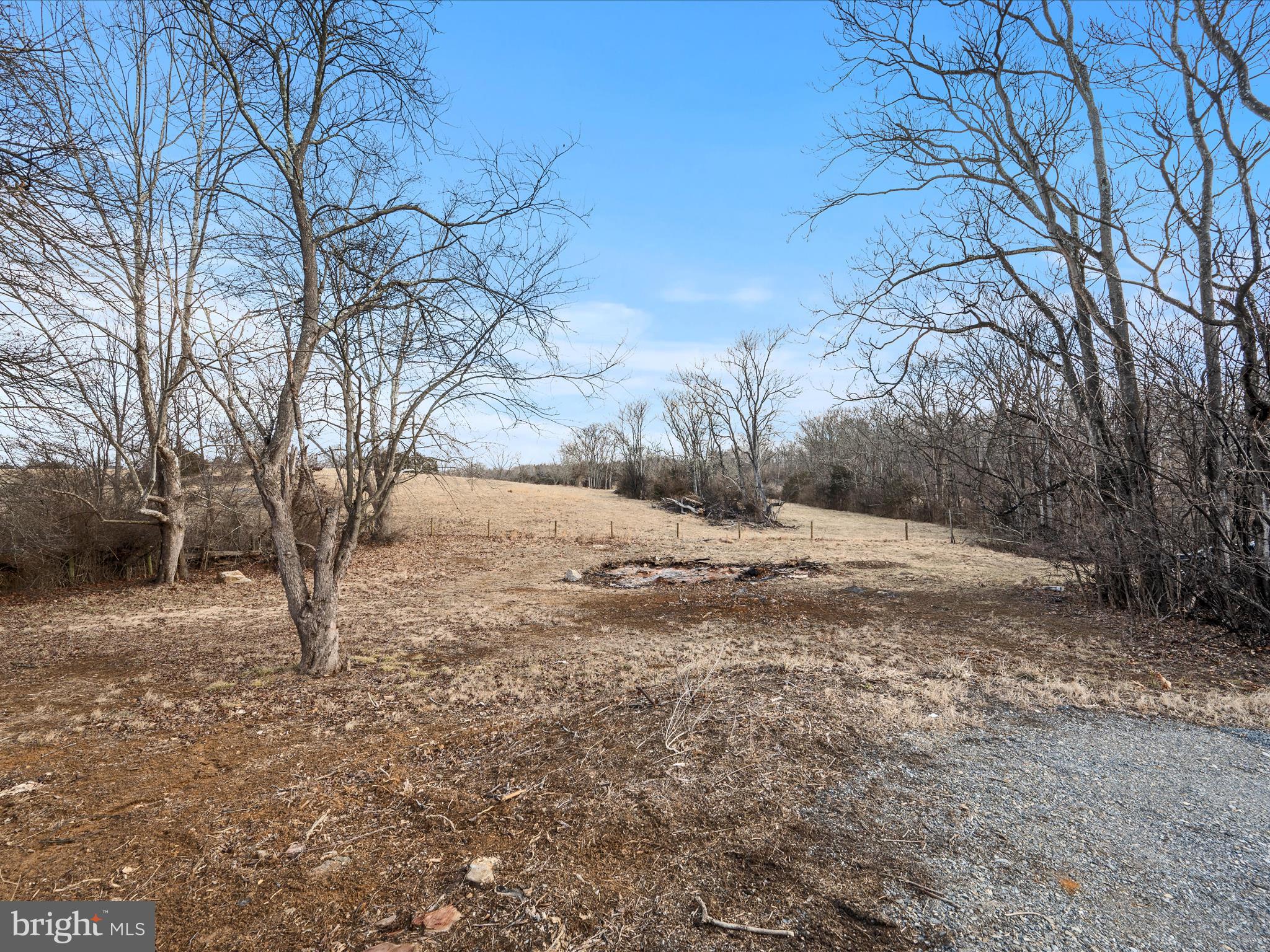 237 Summerville Road Boyce, VA 22620 - Photo 41 of 53 a view of dirt yard with a large tree