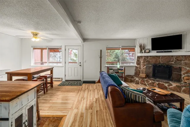 a living room with furniture a flat screen tv and a fireplace