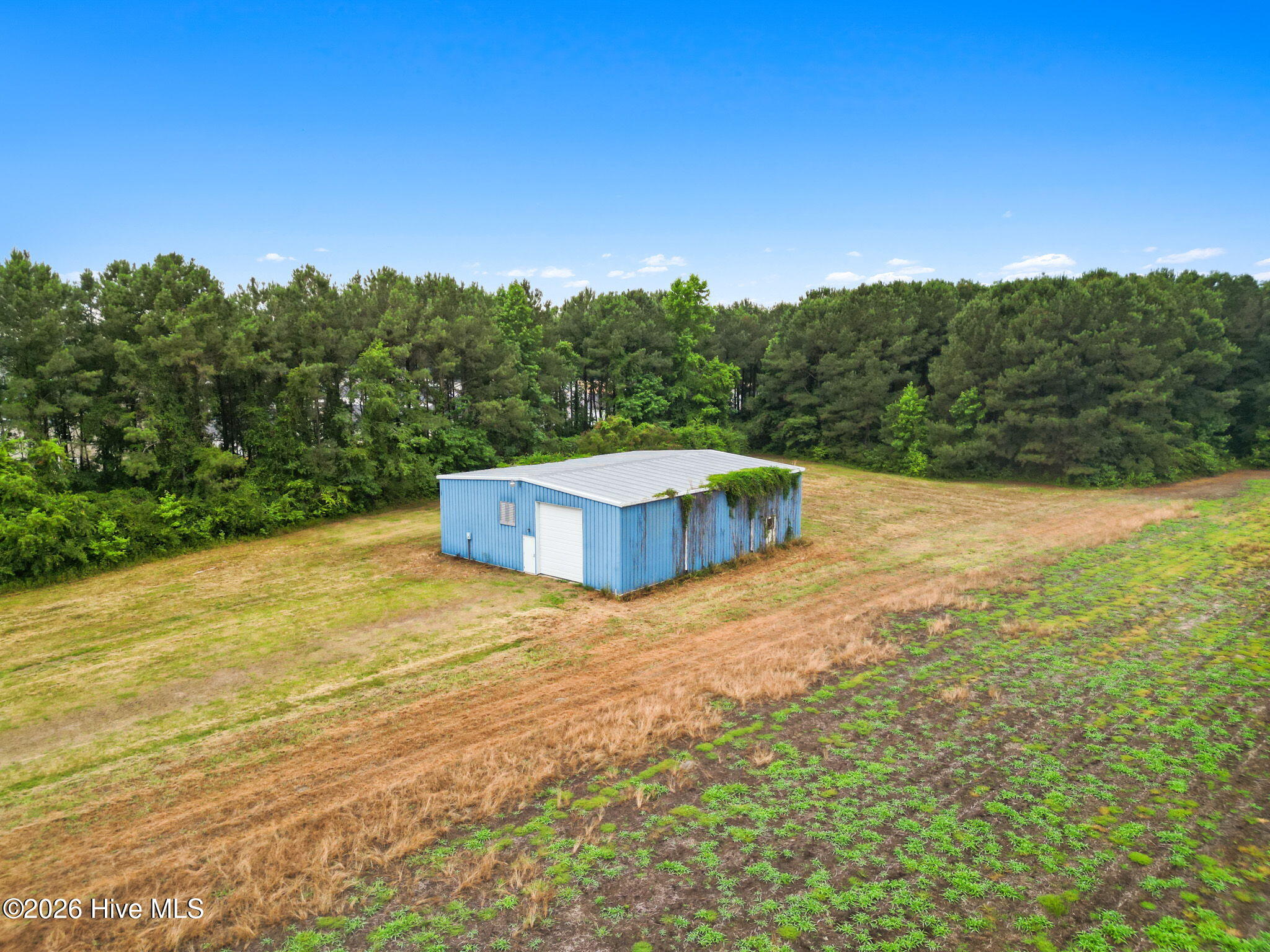 195 Green Swamp Road Northwest Supply, NC 28462 - Photo 11 of 25