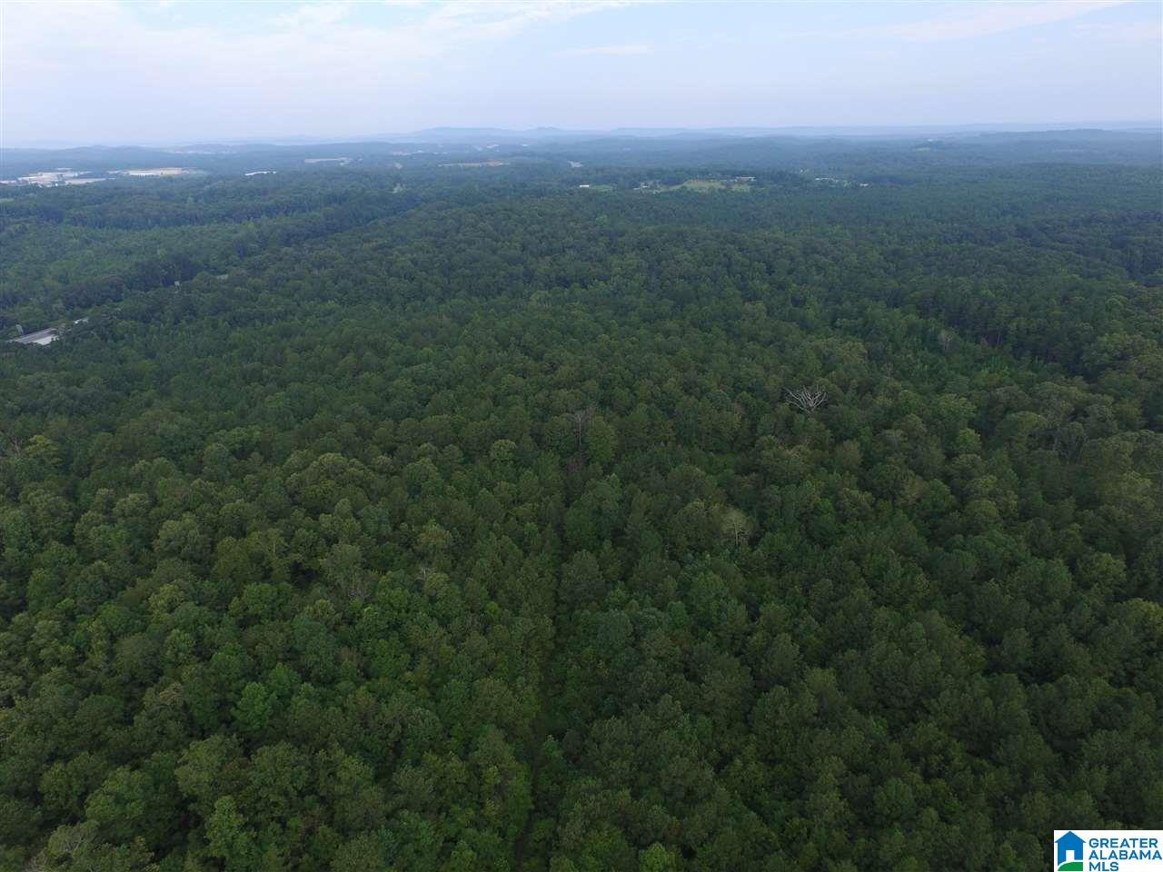 0 Morris Farms Drive Riverside, AL 35135 - Photo 4 of 18