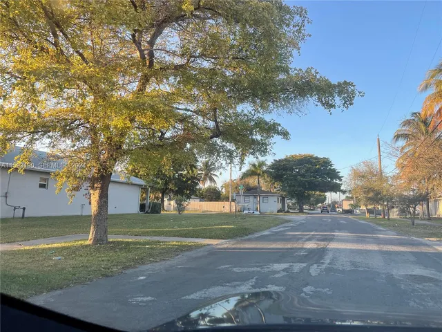 a street view with large trees