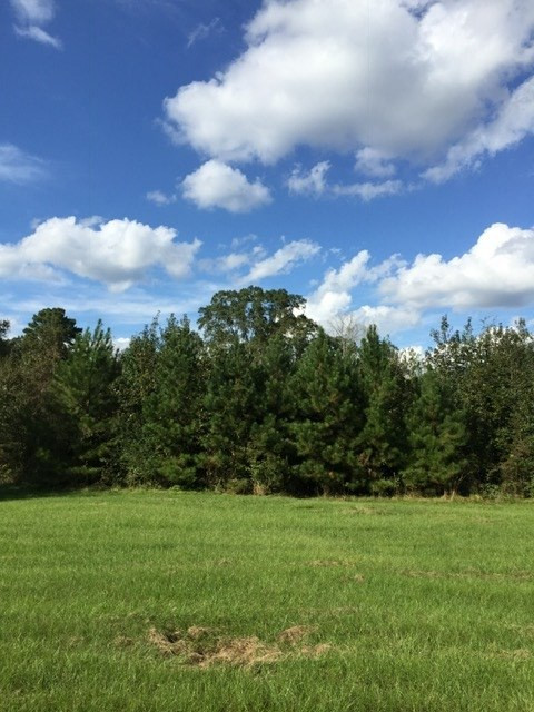 0 Kracker Station Road Morton, MS 39117 - Photo 1 of 7 Photo 1