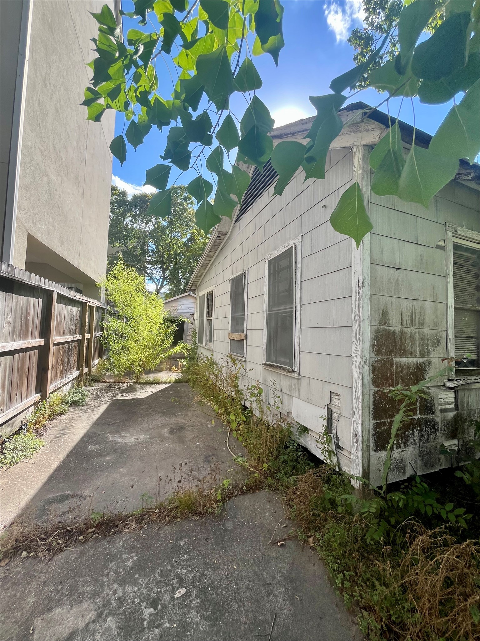 5845 Darling Street Houston, TX 77007 - Photo 11 of 27 a backyard of a house with lots of green space