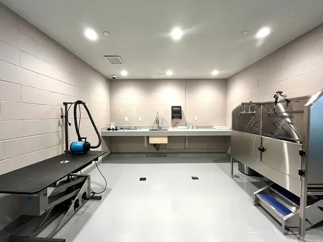 a kitchen with a sink stainless steel appliances and cabinets