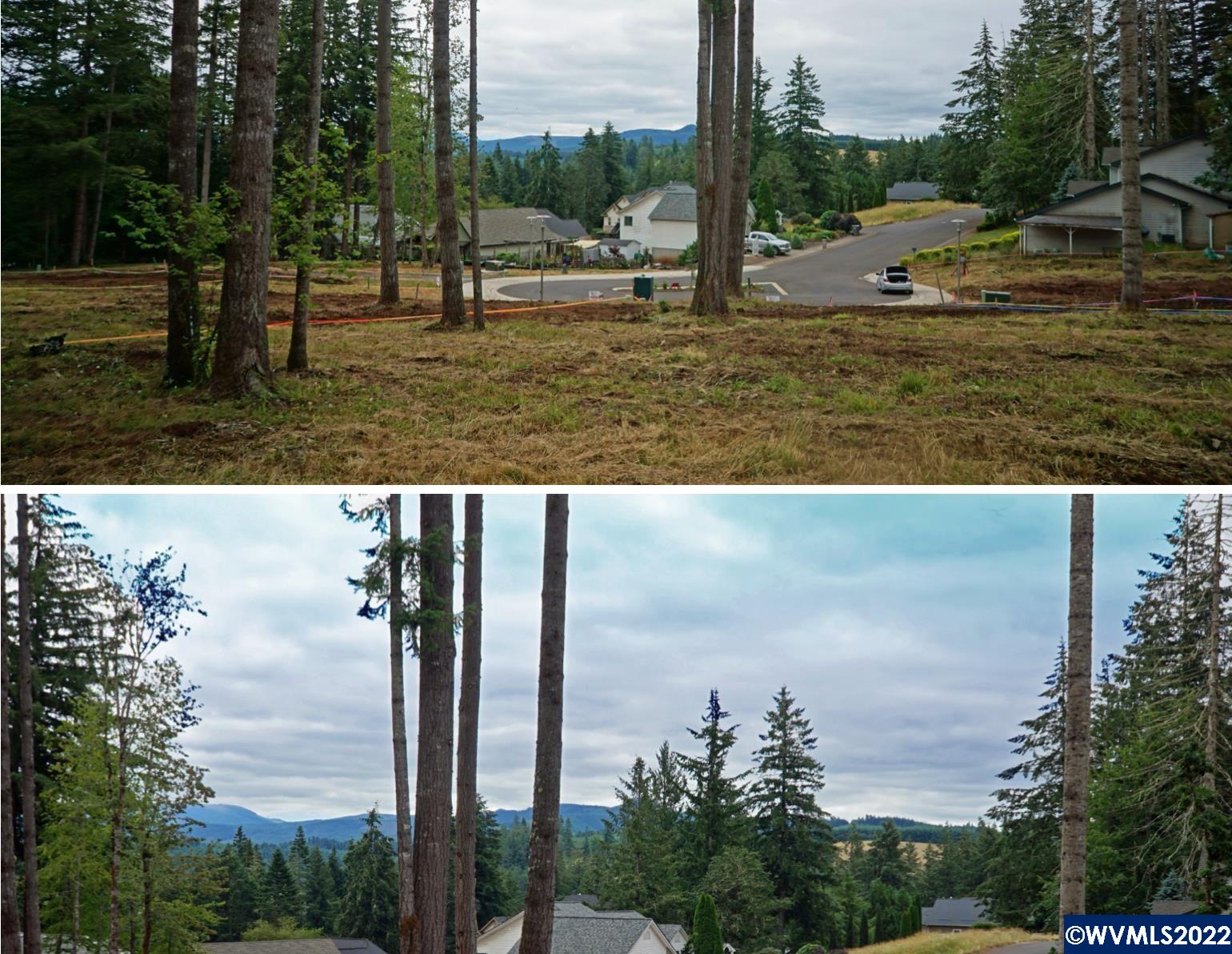 1498 Strawberry Ridge Sweet Home, OR 97386 - Photo 2 of 22