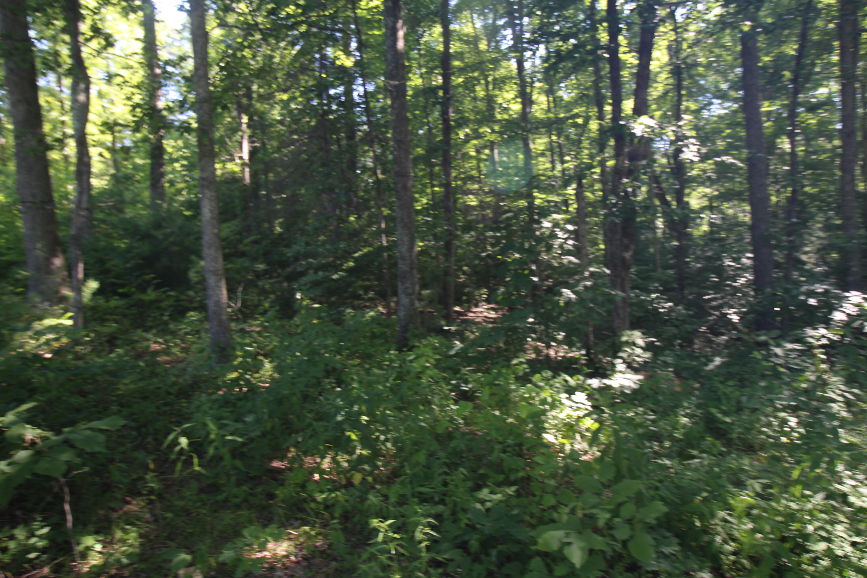 111 Timber Ridge Rogers, KY 41365 - Photo 6 of 6 IMG_0242