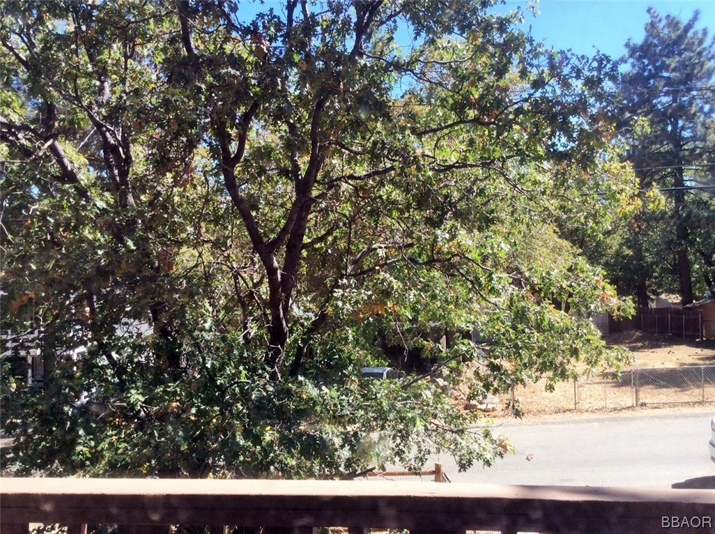 422 Riverside Avenue Sugarloaf, CA 92386 - Photo 15 of 16 Gallery Image 15