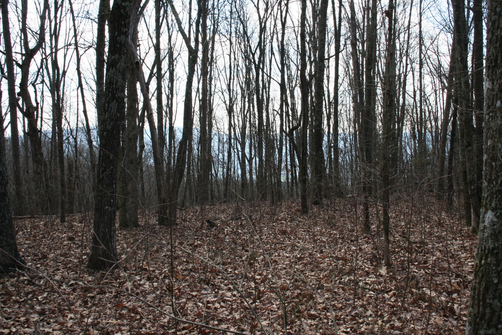 3554 Valley View Road Crossville, TN 38572 - Photo 27 of 31 IMG_6380 - Copy.JPG