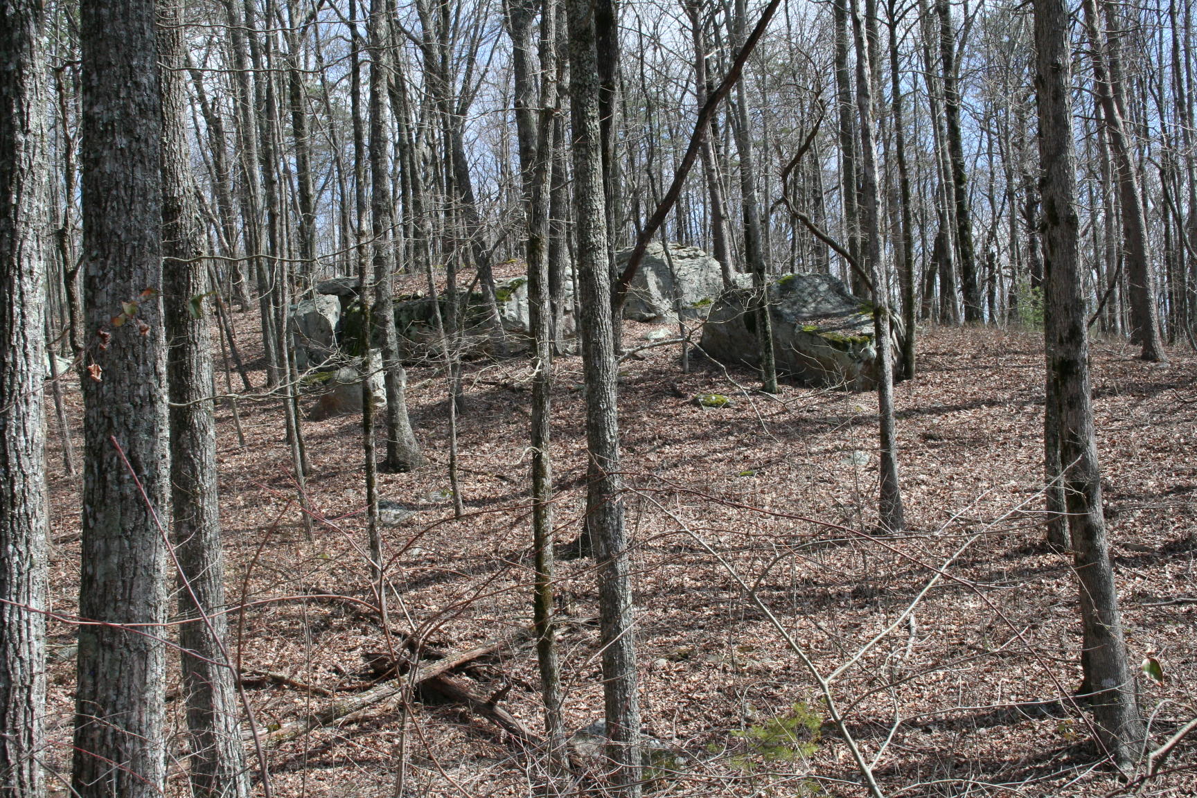 3554 Valley View Road Crossville, TN 38572 - Photo 28 of 31 IMG_6382 - Copy.JPG