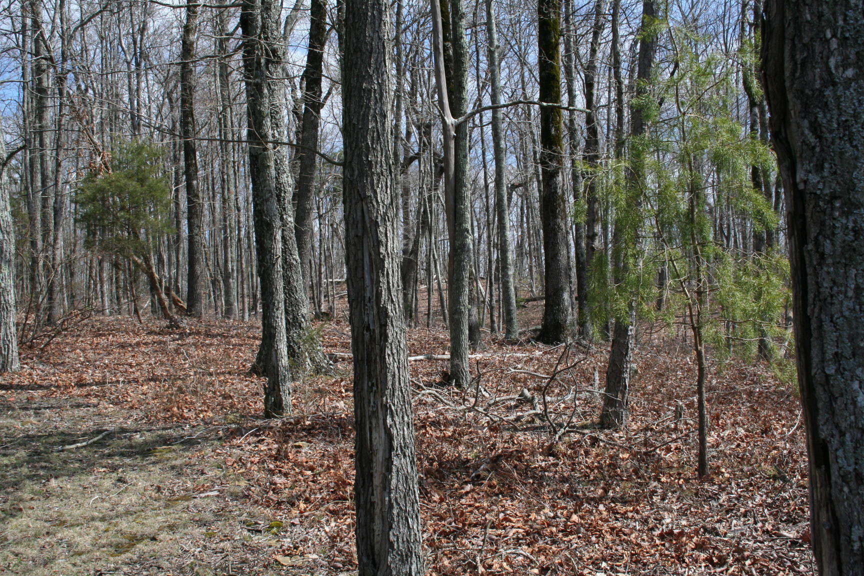 3554 Valley View Road Crossville, TN 38572 - Photo 29 of 31 IMG_6383.JPG