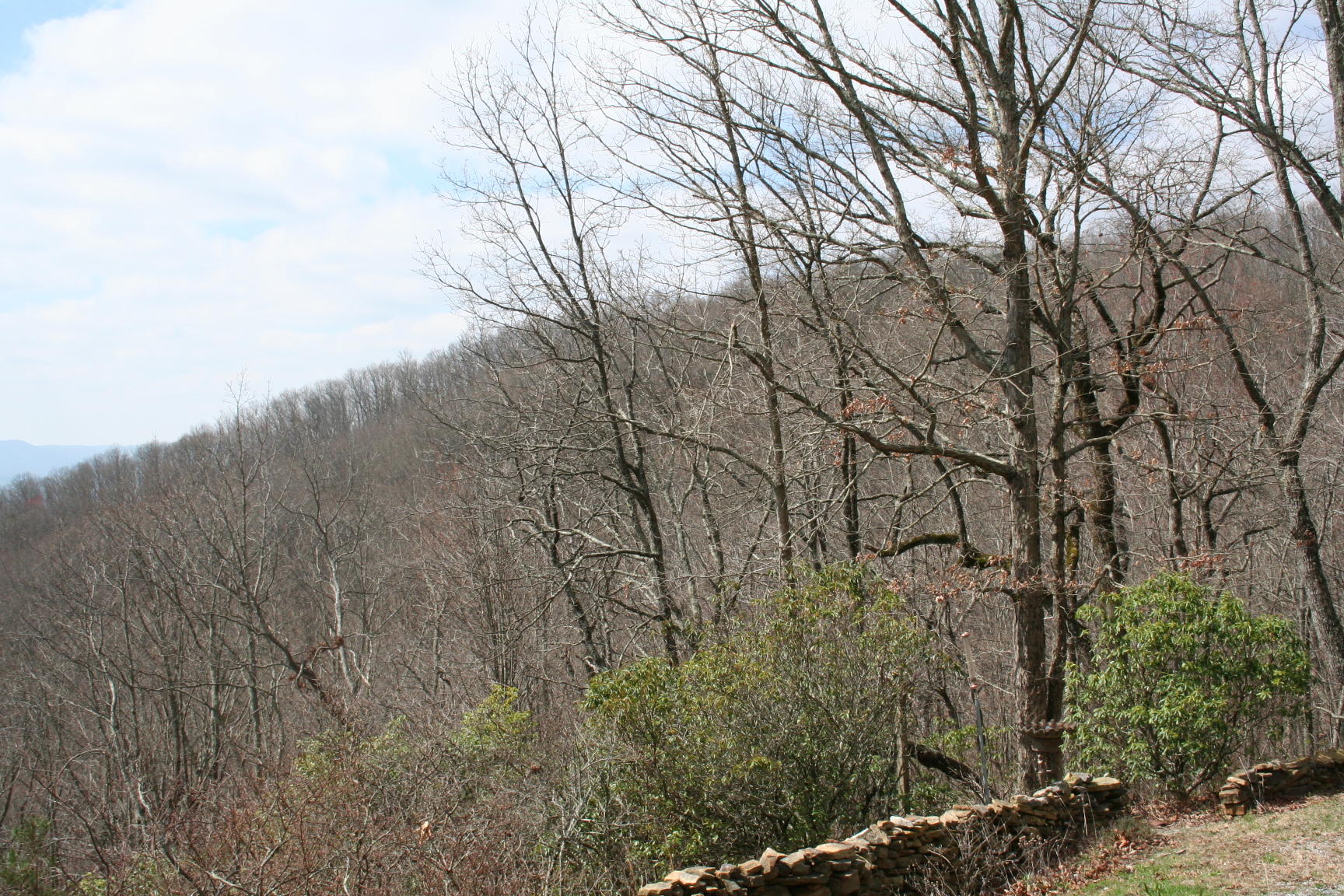 3554 Valley View Road Crossville, TN 38572 - Photo 30 of 31 IMG_6384.JPG