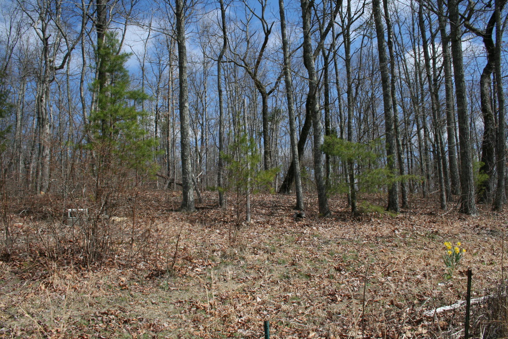 3554 Valley View Road Crossville, TN 38572 - Photo 31 of 31 IMG_6389.JPG